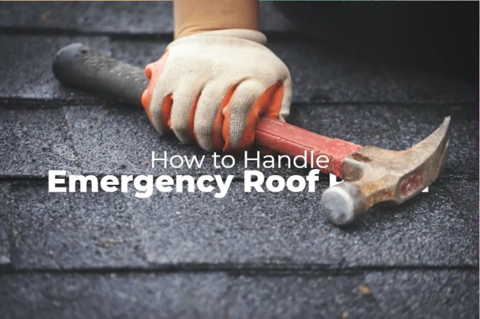 How to Handle Emergency Roof Repair | Signature Roofing Guide How to Handle Emergency Roof Repair | Signature Roofing Guide