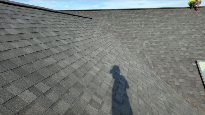 Roofing | Quality Over Quantity Everytime Roofing | Quality Over Quantity Everytime
